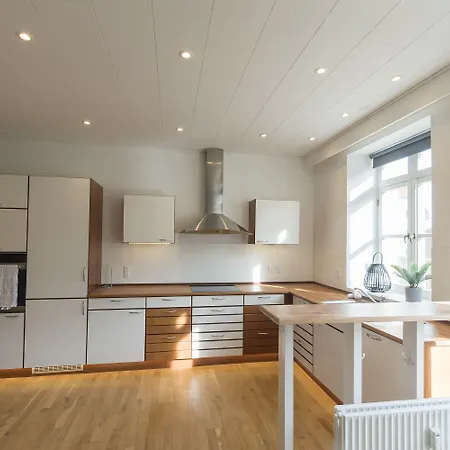 公寓式酒店 Center Penthouse Sønderborg